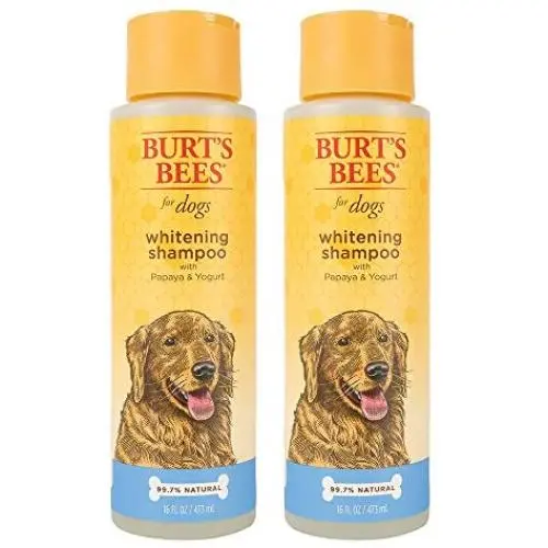 Burts Bees for Dogs Natural Whitening Shampoo with Papaya and Yogurt | Puppy and Dog Shampoo, 16 Ounces Burts Bees for Dogs Natural Whitening Shampoo with Papaya and Yogurt | Puppy and Dog Shampoo, 16 Ounces