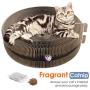 Pawaboo Cat Scratcher Lounge Bed, Multifunctional Collapsible High-Density Corrugated Cardboard Scratching Toy Pad Lounge Round Bed with Built-in Round Bell Balls & Catnip for Cat Kitty Kitten, Beige