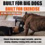 Ultra-Durable Chew Toy - Lifetime Replacement Guarantee - Tested & Approved by Large Breeds & Aggressive Chewers - Strong, Durable, Tough, Interactive Natural Rubber Dog Toy for Super Chewers