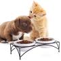 Y YHY Cat Bowls,Elevated Cat Food and Water Bowls with Stand,Raised Pet Bowls for Cats or Dogs,Ceramic Cat Dishes,12 Ounces,Microwave and Dishwasher Safe
