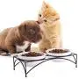Y YHY Cat Bowls,Elevated Cat Food and Water Bowls with Stand,Raised Pet Bowls for Cats or Dogs,Ceramic Cat Dishes,12 Ounces,Microwave and Dishwasher Safe Y YHY Cat Bowls,Elevated Cat Food and Water Bowls with Stand,Raised Pet Bowls for Cats or Dogs,Ceramic Cat Dishes,12 Ounces,Microwave and Dishwasher Safe