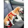 2PET Dog Seatbelt Strap Adjustable Dog Seat Belt for All for All Dog Breeds & Sizes Universal Dog Seat Belts Fit Seatbelt Latches of All Car Makes – 21” to 32” Dog Seatbelt - 2 Pack Choose Color