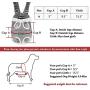 Whizzotech Adjustable Pet Carrier Backpack Pet Frontpack Carrier Travel Bag Legs Out Easy-Fit for Traveling Hiking Camping PB03