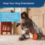 PetSafe Large Sportsmen Bouncy Bone Pet Chew Toy
