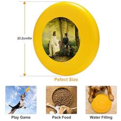 Pet Frisbee Flying Disc Dog Toy - Multifunction 2 Lost and Found Greg Olsen