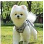 Ciyar Harness for Small Dog Pet Puppy Vest Reflective Belt with Leash Soft Comfort Mesh