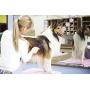 Hertzko Long and Short Teeth Comb Grooms Your Pet’s Top Coat and Undercoat at Once - Suitable for Dogs and Cats