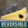OurPets Cat Scratcher Cat Toys (Cat Toys for Indoor Cats, Catnip Toys, Cat Gifts & Cat Toys Interactive) [Includes Cosmic Catnip-100% Premium North American Grown] Multiple Designs & Sizes Available