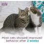 Comfort Zone Multicat Calming Diffuser Refill, 48 ml- 6 Pack, 180 Day Use 6 pack Comfort Zone Multicat Calming Diffuser Refill, 48 ml- 6 Pack, 180 Day Use 6 pack