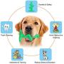 Dog Chew Toys Chew Toothbrush Teeth Cleaning Toy I Puppy Brushing Dental Oral Care for Pets, for Small Medium Large Breed