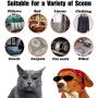 BATTLEHYMN Pet Hair Remover Brush Clean Cat Dog Hair Remove Pumice Stone