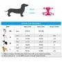 LivinPet No-Choke Dog Vest Harness w/Reflectieve Accents +Dog Collar with Zinc Alloy Metal Buckle