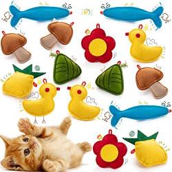 Sumind 15 Pieces Cat Catnip Toys Felt Catnip Infused Toys Interactive Cat Kicker Toys with Catnip Cat Chew Toys Cute Cat Teeth Cleaning Toys for Cat Kitten Pet Playing Chewing Chasing