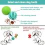 HIPPIH Dog Puzzle Toy 2 Pack, Interactive Dog Toys Ball for IQ Training, Durable and Non-Toxic Treat Dispensing Puppy Toy for Teeth Cleaning/Playing