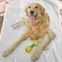 Interestlee Golden Retriever Wool Blanket 60'' x 80'', Pet Dog Laying Down with Toy Friendly Domestic Puppy Playful Companion Custom Blanket - Multicolor