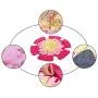 B-1 Pet Training Mat Dog Feeding Mat, Pet Mat Dog Feeding Mat Flower Shape Sniffing Training Pad Fleece Blanket Dog Puzzle Toys 4848Cm Pet Supplies B-1 Pet Training Mat Dog Feeding Mat, Pet Mat Dog Feeding Mat Flower Shape Sniffing Training Pad Fleece Blanket Dog Puzzle Toys 4848Cm Pet Supplies