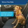 PetSafe 3 in 1 Harness - No-Pull Dog Harness - for X-Small, Small, Medium and Large Breeds - from the Makers of the Easy Walk Harness PetSafe 3 in 1 Harness - No-Pull Dog Harness - for X-Small, Small, Medium and Large Breeds - from the Makers of the Easy Walk Harness