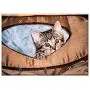 Triple Blank Wall Plate Cover - Cat Small Young Cute Sweet Pet Small Cat Kitten Triple Blank Wall Plate Cover - Cat Small Young Cute Sweet Pet Small Cat Kitten