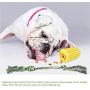 HagieNu Dog Toothbrush Chew Toys Dog Teeth Cleaning Puppy Dental Care Brushing Stick Dog Chew Bones Bite for Dogs Oral Care