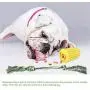 HagieNu Dog Toothbrush Chew Toys Dog Teeth Cleaning Puppy Dental Care Brushing Stick Dog Chew Bones Bite for Dogs Oral Care HagieNu Dog Toothbrush Chew Toys Dog Teeth Cleaning Puppy Dental Care Brushing Stick Dog Chew Bones Bite for Dogs Oral Care