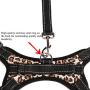 LUPAPA Outdoor Pet Vest Soft Mesh Harness, 3M Reflective, Safety Lock Buckle, Adjustable Dog Harness and Leash Set, Easy Control for Small Medium Large Dogs Walking Training Running