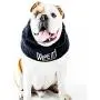The New Wipe It! by All Four Paws The New Wipe It! by All Four Paws