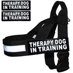 Therapy Dog in Training Nylon Harness No Pull Guide Assistance Comes with 2 Reflective Therapy Dog in Training Removable Reflective Patches. Please Measure Your Dog Before Ordering.