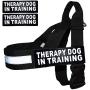 Therapy Dog in Training Nylon Harness No Pull Guide Assistance Comes with 2 Reflective Therapy Dog in Training Removable Reflective Patches. Please Measure Your Dog Before Ordering.