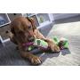 goDog, Dragons, Skinny, Squeaker Dog Toy, Chew Resistant, Durable Plush, Soft, Tough, Reinforced Seams, Green, Large