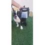 kANOHAVOk Dog Pet Large Treat Bag, Training Pouch with Shoulder Strap, Multifunctional Pockets, Belt Loop and Waistband Hook for Security, Storage for Treats, Toys, and Accessories