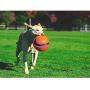 Chuckit! Kick Fetch, an Interactive Dog Toy Large Size 20cm