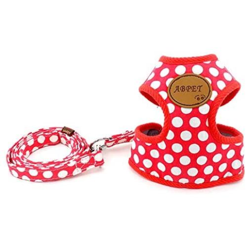 SMALLLEE_Lucky_Store New Soft Mesh Nylon Vest Pet Cat Small Medium Dog Harness Dog Leash Set