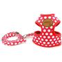 SMALLLEE_Lucky_Store New Soft Mesh Nylon Vest Pet Cat Small Medium Dog Harness Dog Leash Set