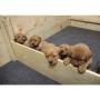 Drymate Premium Whelping Box Liner (48'' x 59''), Machine Washable Whelping Mat - Absorbent/Waterproof/Durable - Whelping Pad - Easily Cut to Fit Any Whelping Box, (Made in The USA)