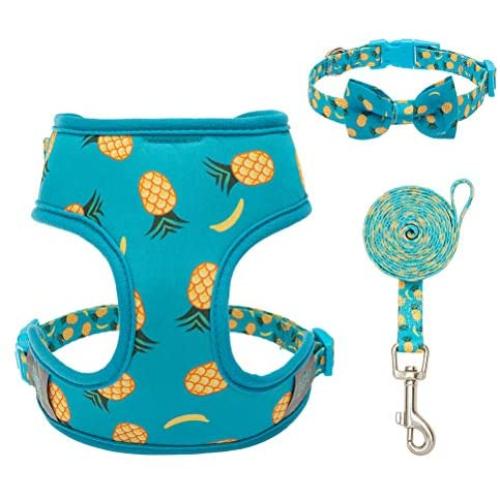 PUPTECK Dog Harness and Leash Set - Adjustable Cute Dog Bowtie Collar, Breathable Pineapple Comfort Padded Puppy Vest Harnesses for Small Medium Dogs Walking
