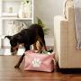 Bone Dry 5511 Pet Storage Collection Collapsible Bin, Small Rectangle, Rose