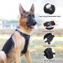 Rision Dog Harness No Pull Dog Harness Adjustable Outdoor Reflective Pet Vest No-Pull Dog Harness with 2 Leash Clips for Small, Medium, Large Dogs, Easy Control Handle for Walking