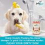 Handy Hound Coconut Ginger Almond Foaming No Rinse Shampoo for Dogs or Cats | All-Natural Dry Waterless Pet Shampoo to Safely Remove Pet Odors | 9oz/266ml, Made in USA.