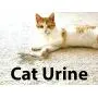 Blue Marble Eliminates Urine Odors and Stains. Professional Strength Urine Eliminators Natural Enzymes Effectively Gets Rid of Urine Odors and Stains Caused by Cats, Dogs and People - It Works. Blue Marble Eliminates Urine Odors and Stains. Professional Strength Urine Eliminators Natural Enzymes Effectively Gets Rid of Urine Odors and Stains Caused by Cats, Dogs and People - It Works.