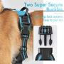rabbitgoo Dog Harness, No-Pull Pet Harness with 2 Leash Clips, Adjustable Soft Padded Dog Vest, Reflective No-Choke Pet Oxford Vest with Easy Control Handle for Large Dogs, Blue (L, Chest 20.5-36'')