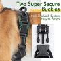 rabbitgoo Dog Harness No Pull for Large Dogs with 2 Leash Clips & Handle - Reflective Pet Soft Vest - Adjustable Easy Control Dog Training Vest - Breathable Oxford Padded for Comfort (Military Style)