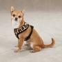 Zack & Zoey Zebra or Leopard Print Soft Plush Dog Harness Durable Reliable Walk Safety