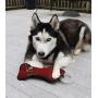 Pets First NFL Tampa Bay Buccaneers Football Dental Tough Dog TUG Bone Toy with Built-in Squeaker Attached to a Safe Rubber Teething Toothbrush PET Toy, Team Color, 14 x 5 (TBB-3310)