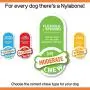 Nylabone Moderate Flexible Dental Dog Chew Toy Bones, 3 Pack, Bacon, Chicken Flavoured, X-Small, for Dogs Up to 7 kg Nylabone Moderate Flexible Dental Dog Chew Toy Bones, 3 Pack, Bacon, Chicken Flavoured, X-Small, for Dogs Up to 7 kg