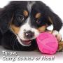 Hartz DuraPlay Bacon Scented Dog Toys