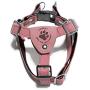 Gooby - Luxury Dog Harness, Small Dog Step-In Harness with Microsuede Straps and Three Point Adjustables