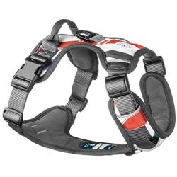 Embark Urban Dog Harness, Easy On and Off with Front and Back Leash Attachments & Control Handle - No Pull Training, Size Adjustable and Non Choke
