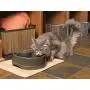 PetSafe Drinkwell Pet Fountain