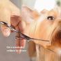 Becko Cordless Low Noise Pet Hair Clippers, for Dog Cat Animals Grooming Hair Trimming