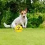 SCENEREAL Floatable Dog Rubber Ball 12 Packs - Floating Fetch Toy - Pet Racquetball 3 Pure Colors Safe Non-Toxic Training Toy for Dogs, High Elastic and Floating on Water, 1.77 Inch in Diameter SCENEREAL Floatable Dog Rubber Ball 12 Packs - Floating Fetch Toy - Pet Racquetball 3 Pure Colors Safe Non-Toxic Training Toy for Dogs, High Elastic and Floating on Water, 1.77 Inch in Diameter